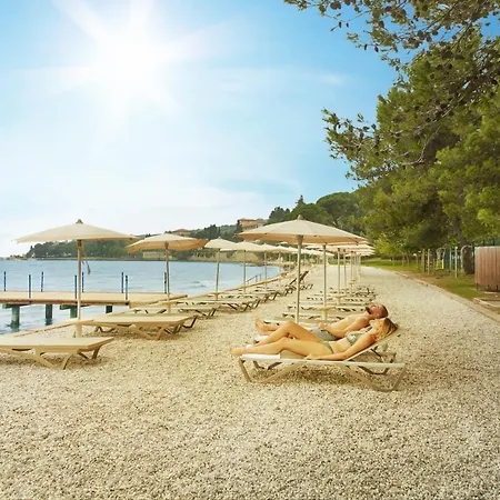 With Balcony Or Terrace - & Adria