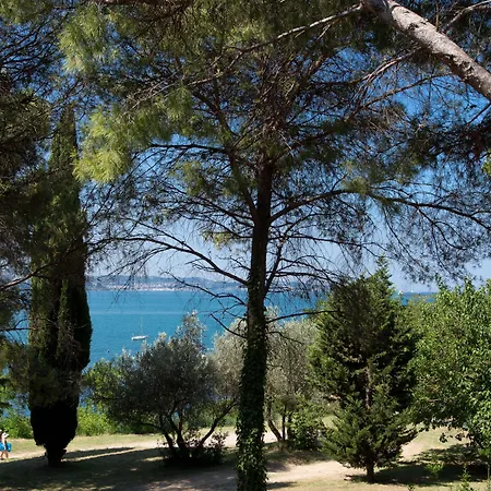 Otel With Balcony Or Terrace - & Adria