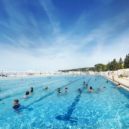 With Balcony Or Terrace - & Adria