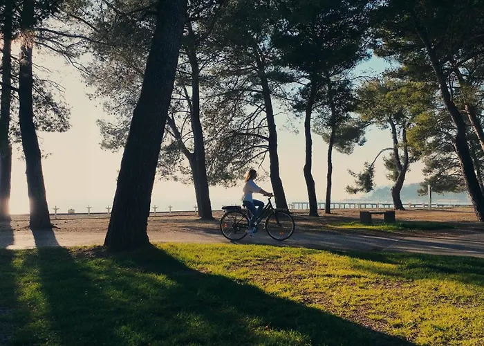 Hotel With Balcony Or Terrace - & Adria 4*