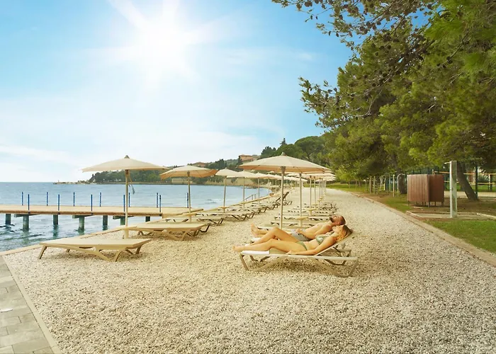 With Balcony Or Terrace - & Adria