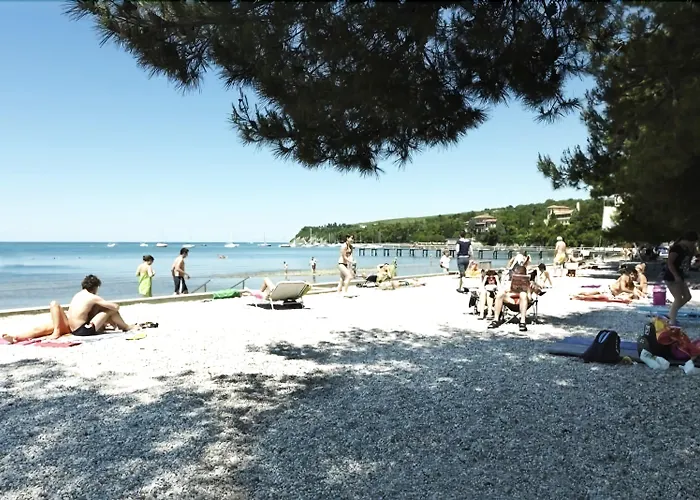 Hotel With Balcony Or Terrace - & Adria Ankaran