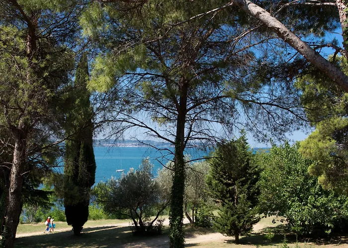 Hotel With Balcony Or Terrace - & Adria