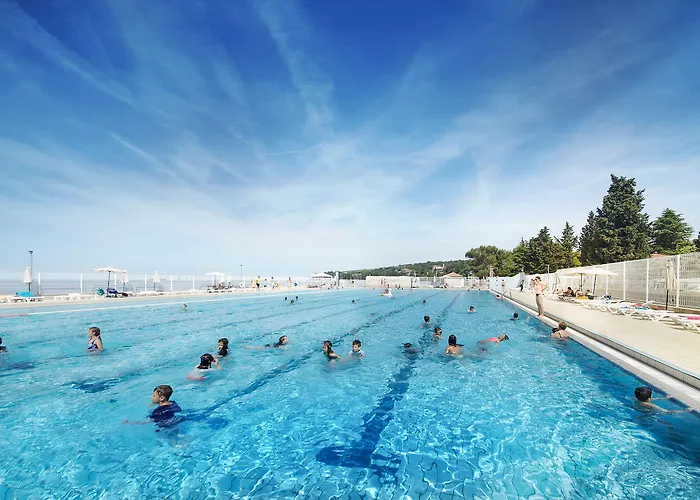 With Balcony Or Terrace - & Adria