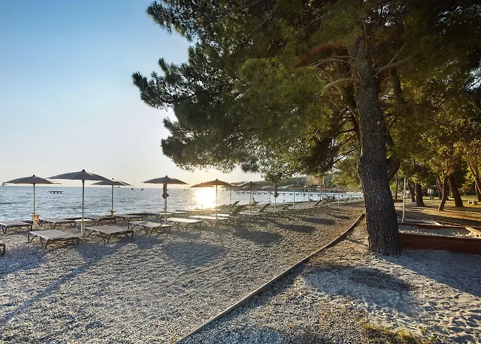 With Balcony Or Terrace - & Adria Otel Ankaran